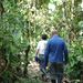 Treking in the rainforest