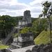 Tikal 5