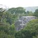 Jungle view of Tikal