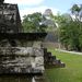 Tikal 7