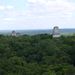 Tree top view of Tikal