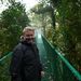 Cloud forest bridges