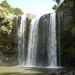 Whangarei Falls