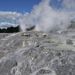 Pohutu Geyser