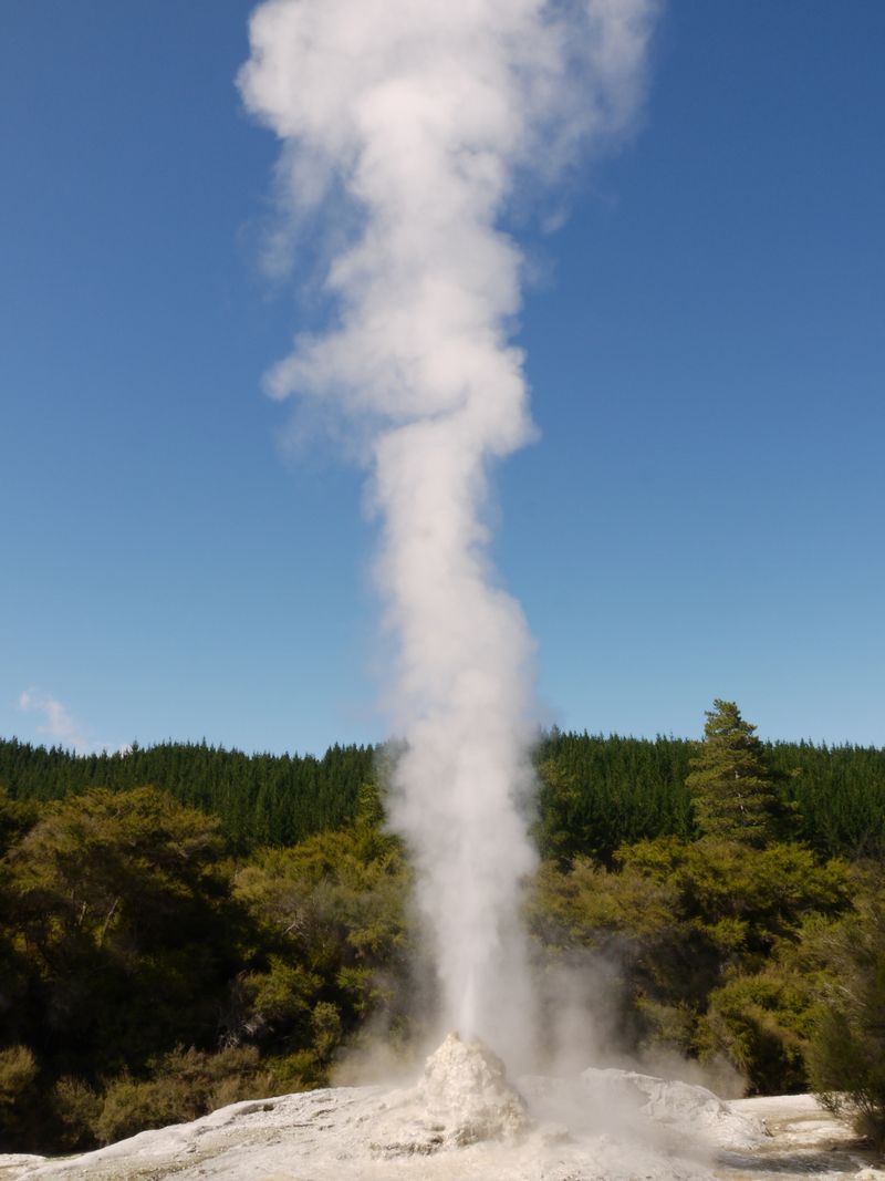 Lady Knox Geyser