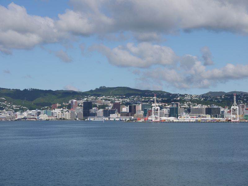 Wellington from the bay