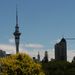 Sky tower - Auckland