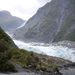 Fox's Glacier look for the polar bear