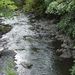 Water of Leith at our doorstep