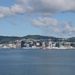 Wellington from the bay
