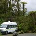 Our campsite for tonight in Franz Josef