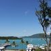 Shute Harbour