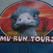 Emu Run Tours