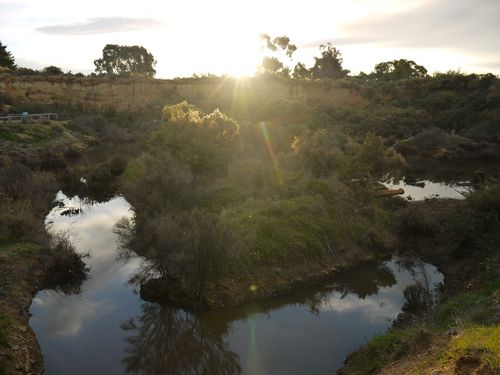 Sunset at the goldfields