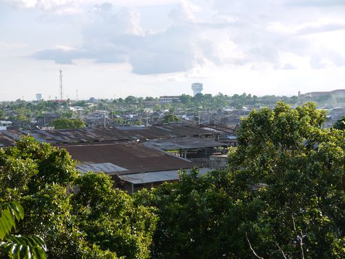 View of city in the jungle