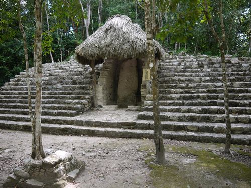 Jungle Mayan ruin
