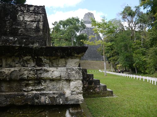Tikal 7