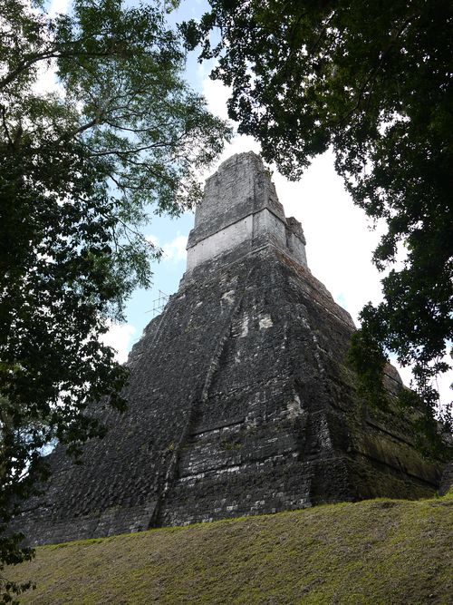 Tikal 8