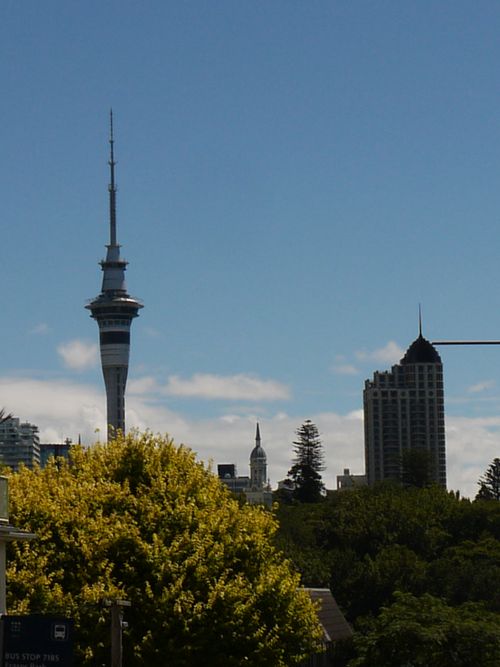 Sky tower - Auckland