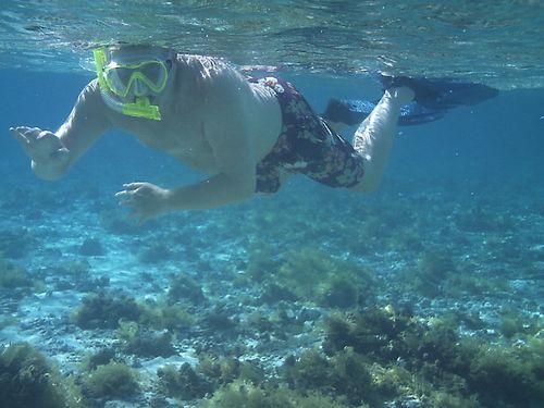 Snorkelling the reef