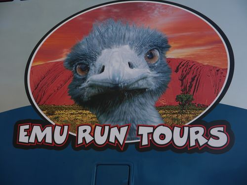 Emu Run Tours